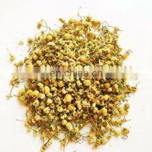 100% Natural Daisy Flower Tea/Hrysanthemum Flower From Vietnam thumbnail-4