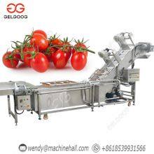 Complete Ketchup Production Line Tomato Sauce Manufacturing Plant Cost Tomato Paste Processing Line Tomato Puree Processing Plant thumbnail-3