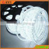 Round/flat 12V 110 220V Dimmable Decoration Smd Color Changing Led Rope Light With UL Quality Choice thumbnail-2