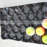 39x59cm Cheap Tomato/Pepper Plastic Serving Trays