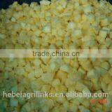 Chinese New Crop Frozen (IQF) Mango Dices thumbnail-4