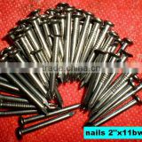 kuwait market best sell common nails