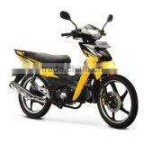 EEC Cub Motorcycle 110cc thumbnail-1