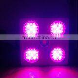 Creex CXA 3070 COB 300w LED Grow Light thumbnail-4