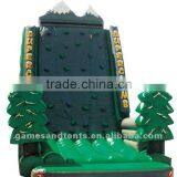 Inflatable Climbing Wall/inflatale Rock/inflatable Rock Climbing/inflatable Climbing A6036 thumbnail-1