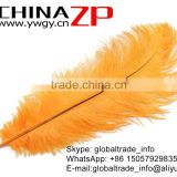 ZPDECOR Wholesale Exporting Selected Prime Quality from 30-35cm Dyed Party Orange Ostrich Feather