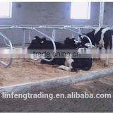 Cow Lying Bar, Cow Lying Bed, Cattle Bedrest thumbnail-1