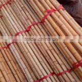 Variosu Size Bamboo Poles thumbnail-3