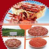 2012 New Crop Chinese Sweet Chili Paprika Flakes thumbnail-1
