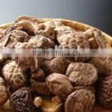 Dried Shiitake Mushroom Wholesale in China thumbnail-5