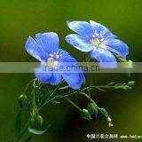 Health Food Herbel Flax Seed Oil (ALA:35-65%) KOSHER&HALAL thumbnail-2