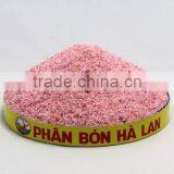 AMAZON for Coffee in Dry Season thumbnail-5