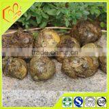 Strong Supply Capacity Raw Propolis With 8.0% Total Flavonoids For Wine thumbnail-4