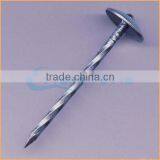 Top Quality Lead Roofing Nails Trusted Chuanghe Suppliers From Com thumbnail-2