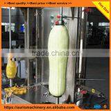 High Efficiency Pumkin/papaya/Wax Guard /butternut Squash Peeler Peeling Machine thumbnail-5