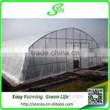 High Tunnel Greenhouse Single Span Green Houses thumbnail-2