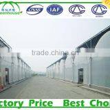 Commercial Greenhouses for Sale thumbnail-4