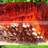 P406 Hot Sale Steel Forged Pickaxe Types thumbnail-6