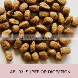 Adult Dry Dog Food thumbnail-1