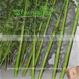 SJLJ013620 Artificial Tree and Plant Fake Plastic Bamboo for Garden Home Decoration thumbnail-4