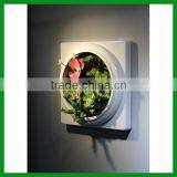 FO-WR25 Artificial Indoor Decoration Wall Art thumbnail-2