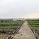 Superior Chinese Bonsai Nursery Co., Ltd. Foshan company overview - view 3 thumbnail