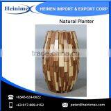Widely Selling, Fiberglass Made Flower Planters for Home Decore thumbnail-1
