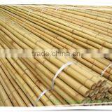 Hot Sale Bamboo Poles /bamboo Canes With Low Price thumbnail-2