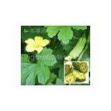 100% High Quality Balsam Pear Extract/balsam Pear Extract Powder/Balsam Pear Powder thumbnail-3