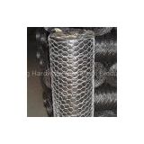 S.S Hexagonal Wire Netting