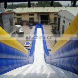 2017 Popular Design Top Quality Giant Inflatable Slide, Giant Inflatable Water Slide for Adult, Inflatable Jumping Slide thumbnail-5