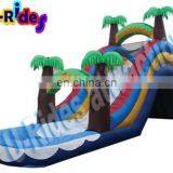 Rainbow Inflatable Pool Water Slide