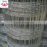 Galvanized Grassland Fence/Anping Manufacturer