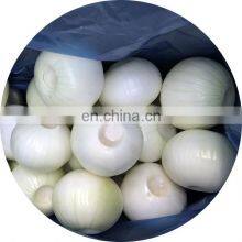 2020 New Crop Top Grade 20 KG Package Diameter > 6 cm Peeled Fresh Yellow Onion for Sale