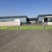 Xingtai De Rosa Bicycle Co.,ltd. company overview - view 1 thumbnail