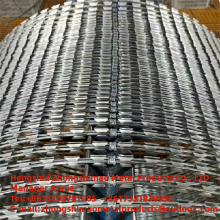 Protective Net thumbnail-3