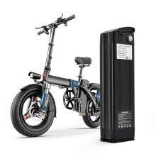 Custom Silver Fish Battery 36V 48V 52V 15Ah 18Ah 20Ah Lithium Ion Ebike Battery for 500W 1000W 1500W Electric Bike