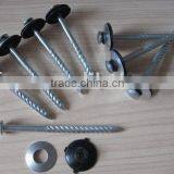 Big Umbrella Roofing Nail With Washer
