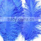 28"-30" Wholesale Bulk Blue Ostrich Feather For Wedding Table Decoration thumbnail-2