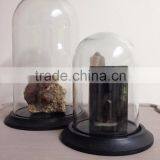 Glass Dome, Decorative Glass Dome, Glass Belljar Dome, Storage Glass Dome thumbnail-1