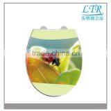 Convenient for Daily Scrubbing Slim Novelty Toilet Seat With Printed Design thumbnail-2