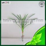 HM Factory Cheap Price Artificial Plant thumbnail-2