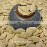 Shine Skin Pumpkin Seeds Greenhouse thumbnail-4