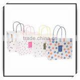 Custom Paper Bag Printing 2016 thumbnail-3