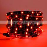 red/blue/green 30leds/m smd5050 12v flexible digital RGB led strip light