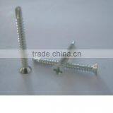 Slotted Screw