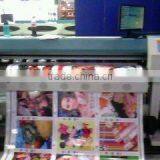 1.8m Eco Solvent Printer
