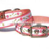 2013 Fashion Nylon Lanyard Dog Collar.