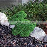 Animal Shape Boxwood Topiary thumbnail-1
