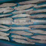 2016 High Quality and Latest Bonito Loin From China